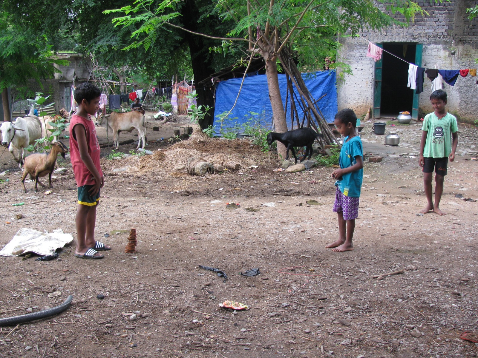 Treenighet Foundation community outreach